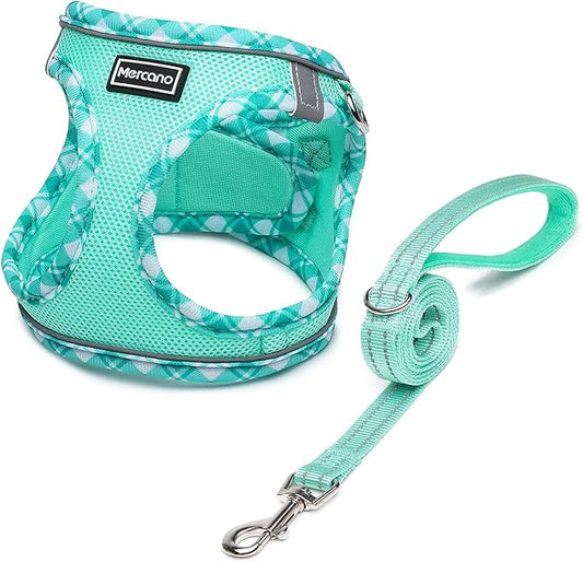 Mercano Soft Mesh Dog Harness and Leash Set, No-Chock Step-in Reflective Breathable Lightweight Easy Walk Vest Harnesses with Safety Buckle for Small Dogs, Cats (Light Green, XXS)