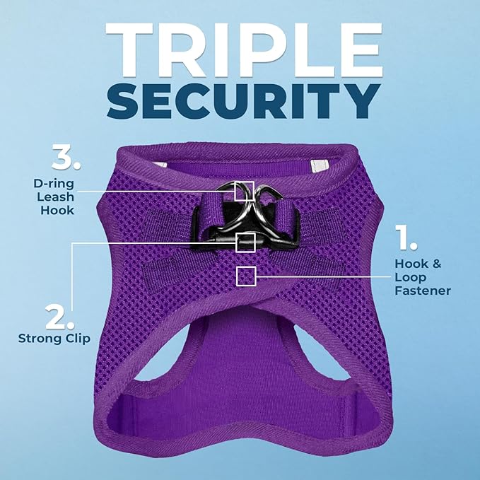 Best Pet Supplies Voyager Step-in Air Harness - All Weather Mesh, Reflective, No Pull Harness for Dogs, Cats - Secure with Hook & Loop Fastener, Buckle, Double D-Rings - Purple, XXXS