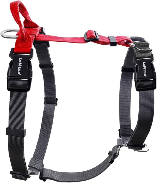 Non-Restrictive Dog Harness, Easy Walk Freedom No Pull Harness, Keep Balance, Neck-Buckle, Six Points Adjustment, 2 Leash Clips for Back and Front Clip (Red/Black, Large)