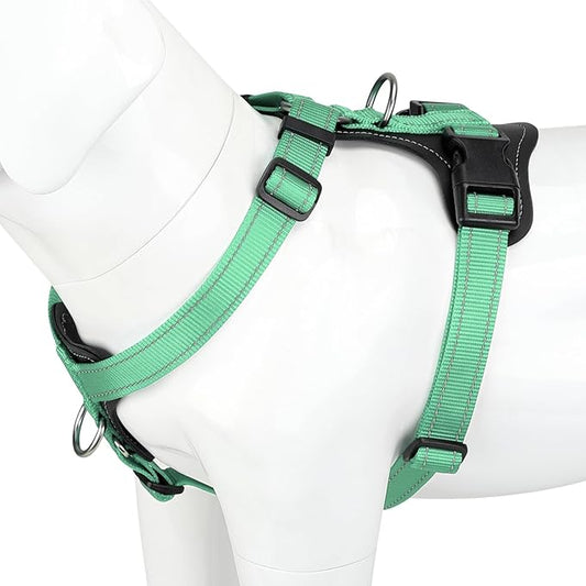 Plutus Pet Adjustable No Pull Dog Harness with Leather Accents, Heavy Duty Reflective Nylon Vest for Training, Hiking, Easy Walk Harness for Small, Medium, Large Dogs (Teal, L)