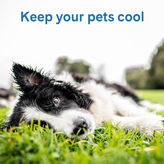 The Green Pet Shop Cool Pet Pad - Small, Blue - Self-Cooling, Pressure Activated Mat for Dogs & Cats from 9-20 lbs - Non-Toxic Gel, No Water Needed