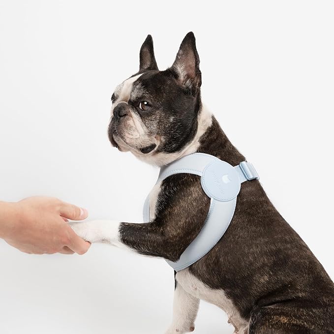 Ultra Comfortable Dog Harness Adjustable Soft Dog Vest, Alloy Buckle Closure Lightweight Stretchy Puppy Harness Step in for Small Sized Dogs Walking Training (Sierra Blue, M 16.6-18.5")
