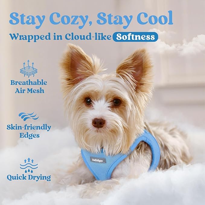 rabbitgoo Small Dog Harness, Step-in Soft Mesh Puppy Vest with Safety Buckle, Breathable Reflective Pet Harness for Extra Small Dogs, Blue XXXS