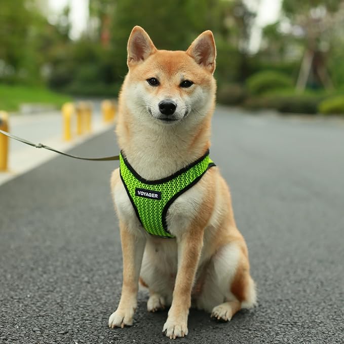 Best Pet Supplies Voyager Step-in Air Harness - All Weather Mesh, Reflective, No Pull Harness for Dogs, Cats - Secure with Hook & Loop Fastener, Buckle, Double D-Rings - Tone, S