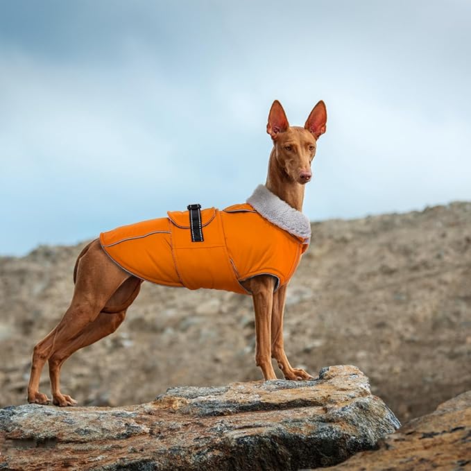 Lelepet Warm Dog Coat Reflective Fleece Vest Waterproof Dog Jacket with Adjustable Buckle Hook & Loop Windproof Cold Weather Coats for Small Medium Large Dogs, Orange, XXXL