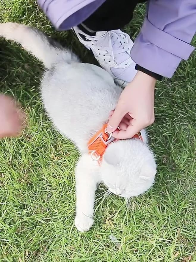 Stimulicat Cat Harness, Stimuli Cat Harness Design for Outdoor Cats, Adjustable Soft Mesh Vest Harness Escape Proof with Reflective Safety Strips, Allowing Cats to Safe (Gray/Blue, L)