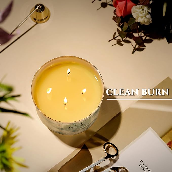 HomeLights Soy Wax Candles for Home Scented, 4-Wick Candles in Lavender Eucalyptus Scented, Aromatherapy Candles Gift for Parties, Relaxing, Scandinavian Minimalist Design, 18oz