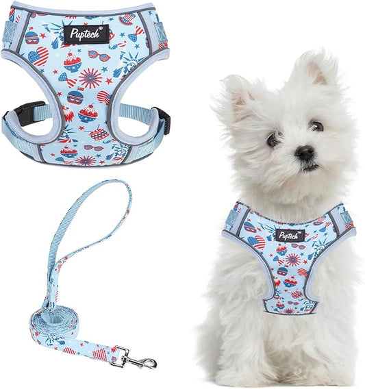 PUPTECK Small Dog Harness and Leash Set, No Pull Adjustable Puppy Cat Harness, Reflective Soft Mesh Pet Vest Small Sized