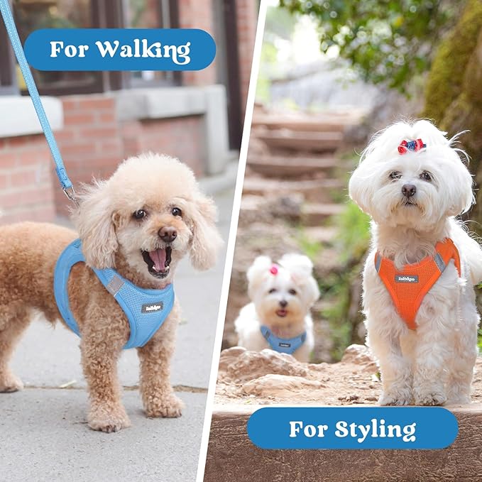 rabbitgoo Small Dog Harness, Step-in Soft Mesh Puppy Vest with Safety Buckle, Breathable Reflective Pet Harness for Small Medium Dogs, Blue L