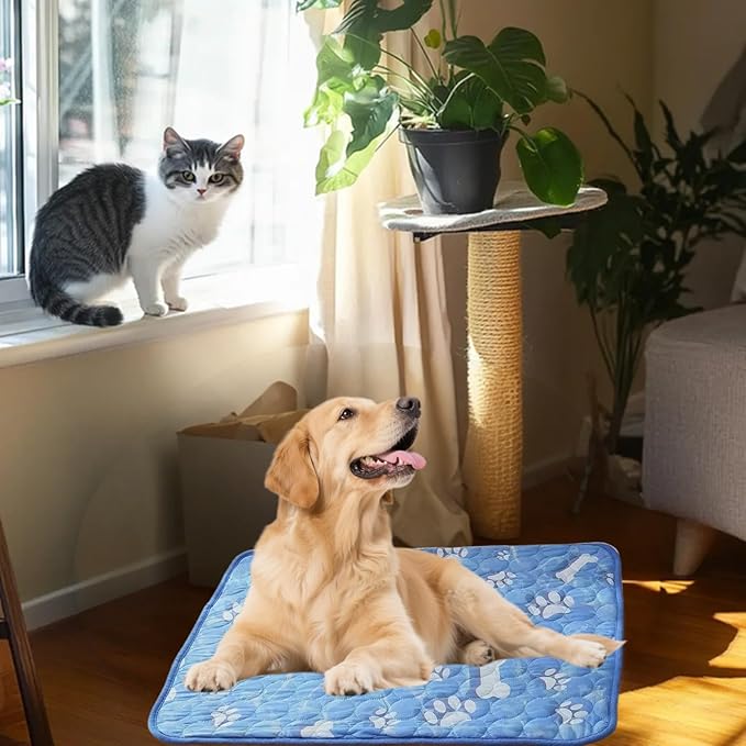 Large Dog Cooling Mat 27.56x21.65 Inches - Self Cooling Pad for Large Breeds, Portable Pet Cooling Pad for Crate & Outdoor Use, Durable Oxford Fabric (L, Dogs & Cats)