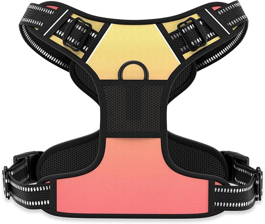 Rnivvi No Pull Dog Harness, Cute Reflective Medium Sized Puppy Harness, Adjustable Soft Padded Vest for Medium Dogs, Heavy Duty Pet Vest with Easy Control Handle for Walking, Abstract Gradient