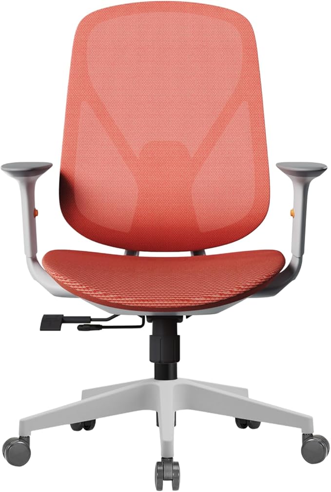Mesh Office Chair – Ergonomic Office Chair with Lumbar Support, Adjustable Armrests & Sliding Soft Seat Cushion – Holds Up to 270lbs (Red)