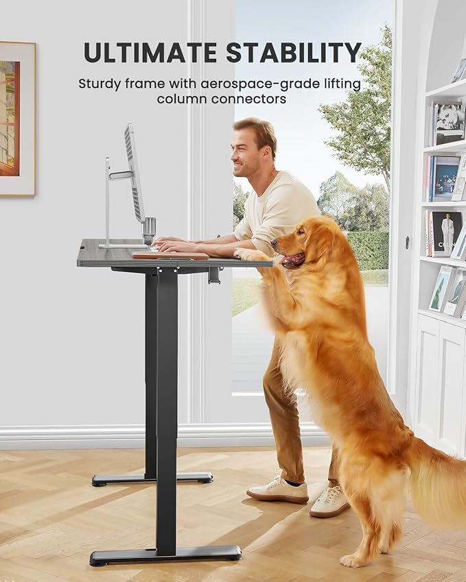 ErGear Height Adjustable Electric Standing Desk, 55 x 28 Inches Sit Stand up Desk, Large Memory Computer Home Office Desk with Two-Piece Desktop (Grey)