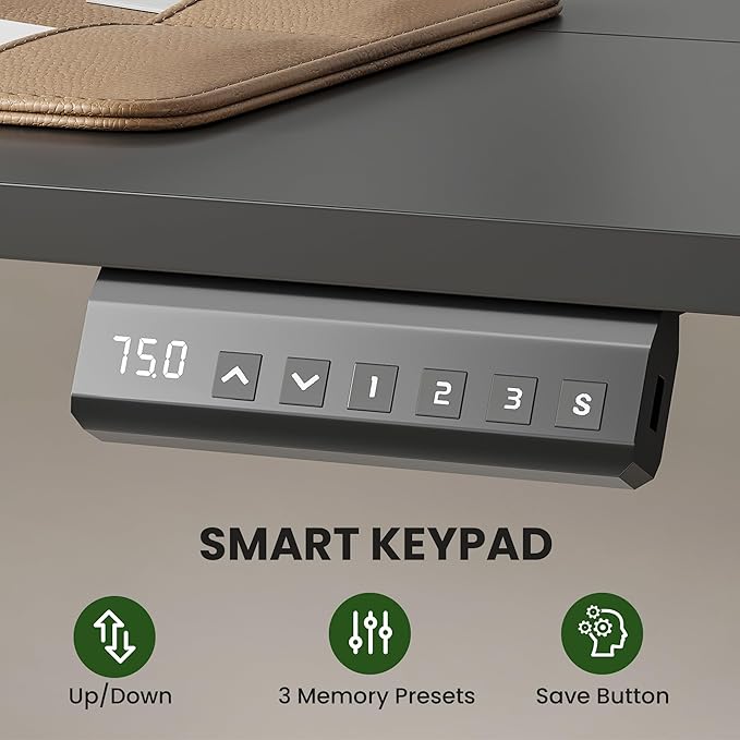 Casaphoria 40 x 24 inches Electric Standing Desk, Sit to Stand Desk with Memory Height Adjustment, Home Office Computer Desk for Writing and Games, Black