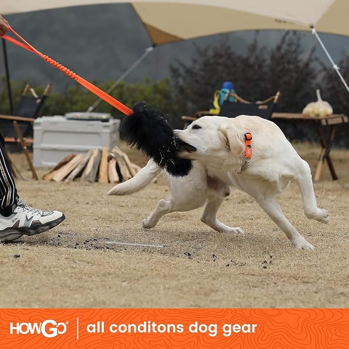 HOWGO Dog Rope,Dog Bungee Chaser 100% Sheepskin,Sheep Smell Tug for All Breeds(Orange, Long Without Ball 2Pack)