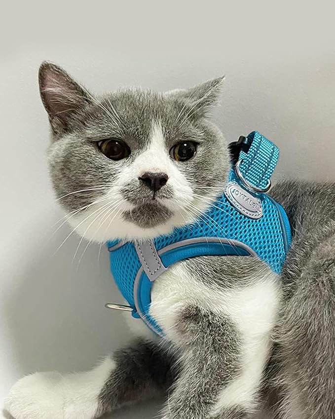 Joytale Small Dog Harness, Breathable Mesh Step-in Vest, Reflective Soft Padded Harnesses for Cats and Puppies Dogs, Sky Blue, XXXS