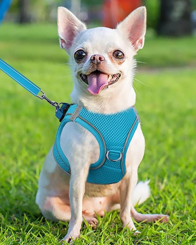 Joytale Small Dog Harness, Breathable Mesh Step-in Vest, Reflective Soft Padded Harnesses for Puppies and Extra Small Dogs, Sky Blue, XS