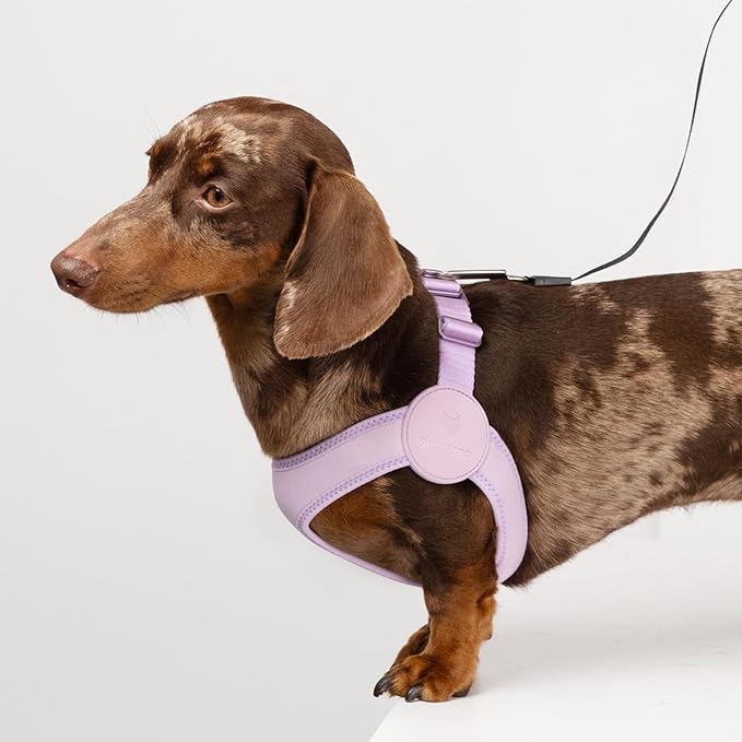 Ultra Comfortable Dog Harness Adjustable Soft Dog Vest, Alloy Buckle Closure Lightweight Stretchy Puppy Harness Step in for Small Sized Dogs Walking Training (Linen, S 14.6-16.1")