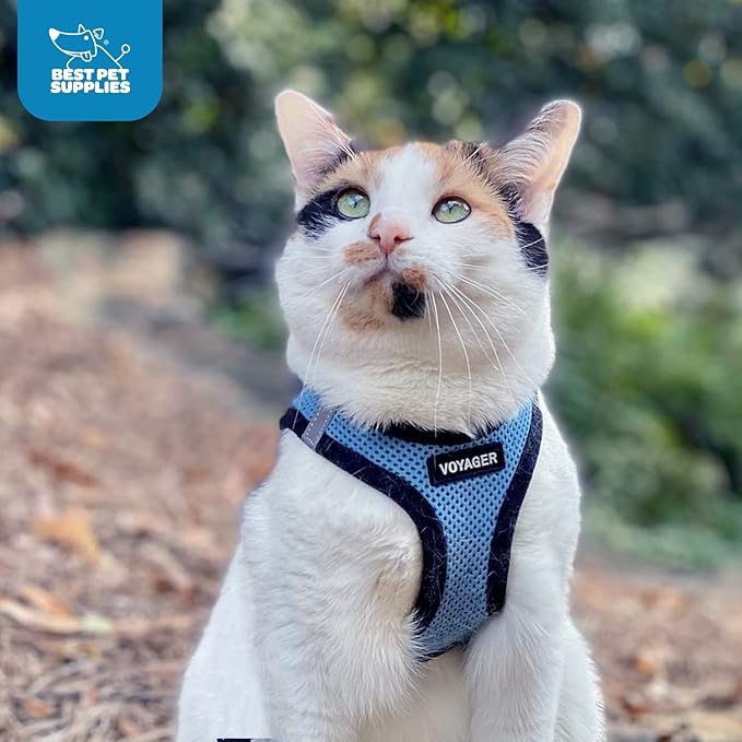 Best Pet Supplies Voyager Step-in Air Harness - All Weather Mesh, Reflective, No Pull Harness for Dogs, Cats - Secure with Hook & Loop Fastener, Buckle, Double D-Rings - Baby Blue/Black Trim, XS