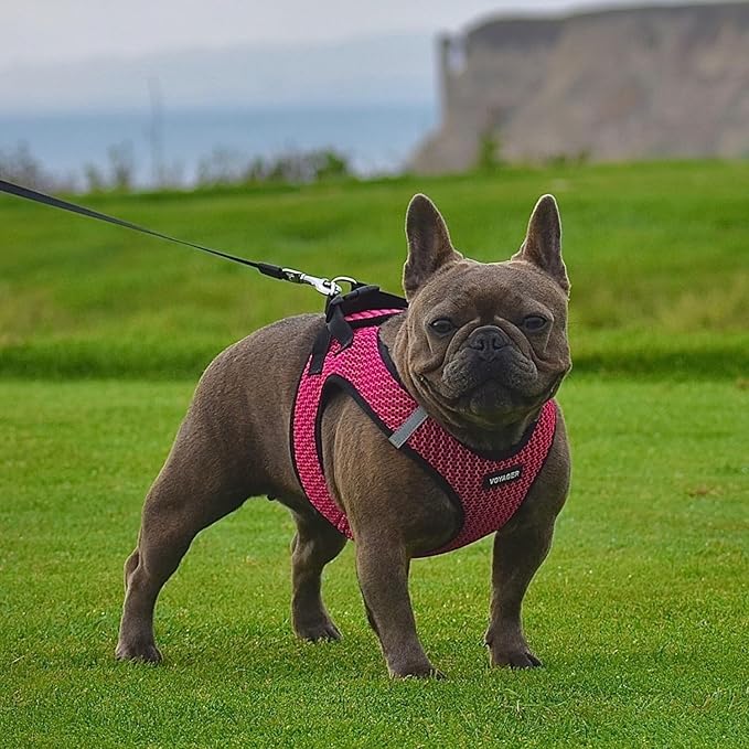 Best Pet Supplies Voyager Step-in Air Harness - All Weather Mesh, Reflective, No Pull Harness for Dogs, Cats - Secure with Hook & Loop Fastener, Buckle, Double D-Rings - Tone, XS