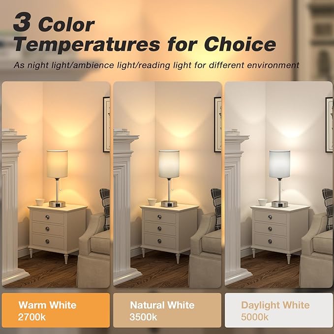 Dicoool Grey Bedroom Lamp for Nightstand - 3 Color Temperature Table Lamp with USB C and A Ports, Pull Chain Bedside Lamp with AC Outlet, Desk Lamp with Silver Metal Base for Kids Girls
