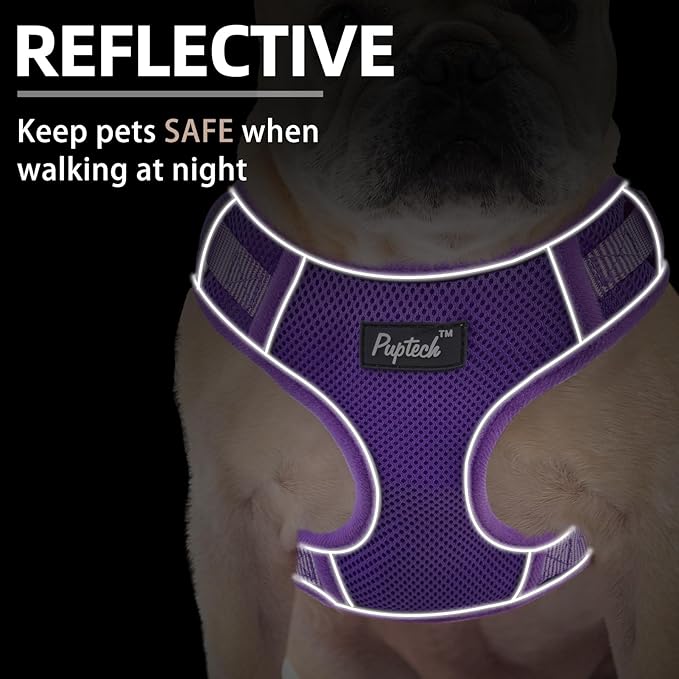 PUPTECK Small Dog Harness and Leash Set, No Pull Adjustable Puppy Cat Harness, Reflective Soft Mesh Pet Vest Small Sized