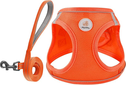 Dog Harness and Leash Set, No Pull Soft Mesh Puppy Harness for Small Medium Dogs, Cats - Step in Reflective Breathable Lightweight Vest Harness for Walking, Training - Orange, XS