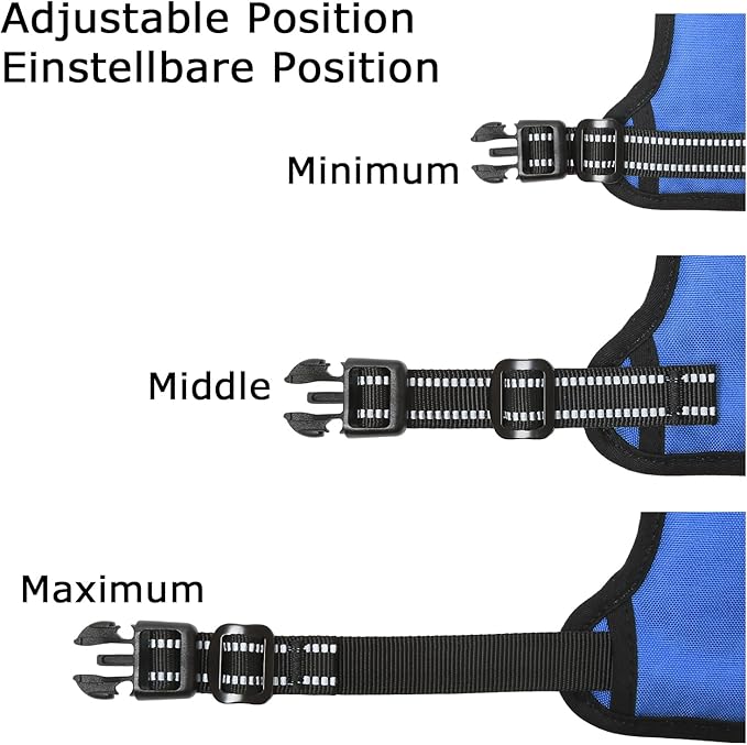 HEELE Dog Harness Harness for Small Dogs No Pull Dog Vest Harness for Small Dog with Soft Padded Handle Reflective for Outdoor Training, Blue, S