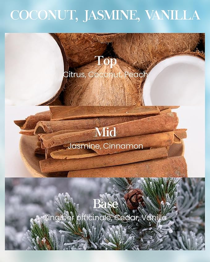 M&SENSE Coconut Beach Scented Candles Beach Soy Candle, Summer Candle for Stress Relief Meditation Relaxing, Housewarming Gifts for Women Men, 11.3oz 70 Hour Long Burning