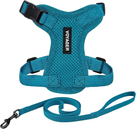 Voyager Step-in Lock Adjustable Cat Harness w. Cat Leash Combo Set with Neoprene Handle 5ft - Supports Small, Medium and Large Breed Cats by Best Pet Supplies - Turquoise, XS