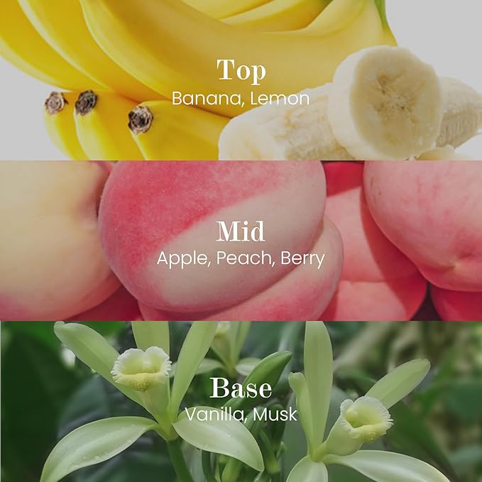 M&SENSE Natural Soy Candle| Fruit Nectar | 5.3 oz | Minimalist Christmas Scented Candle for Relaxation, Gifting, Home Décor | for Bedroom, Office, Party Small