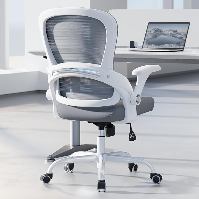 TRALT Ergonomic Office Chair - Comfy Desk Chair with Back Support, Home Office Desk Chairs, Computer Chair, 330lbs Wide Seat Big and Tall Office Chair for Executives (Grey)