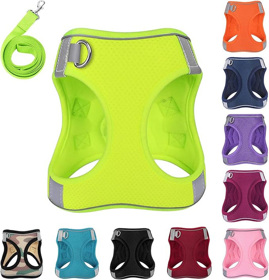 Dog Harness with Leash Set, No-Pull Step-in Reflective Pet Harness with 1 Leash Clips, Adjustable Soft Padded Easy Walk Dog Vest for Small Medium Large Dogs, Cats(Fluorescent, XLarge)