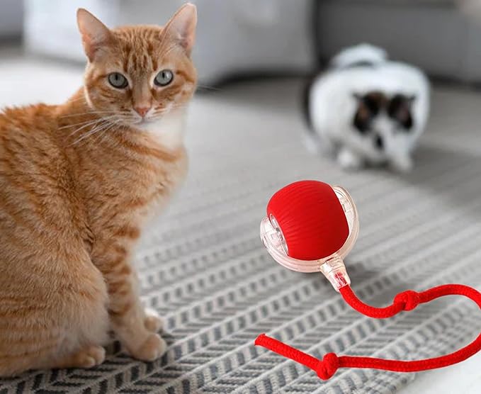Cat/Dog Interactive Ball - Rechargeable, Motion Chase Toy, Self-Moving Kitten Toy for Indoor Playing, Fast on Carpet