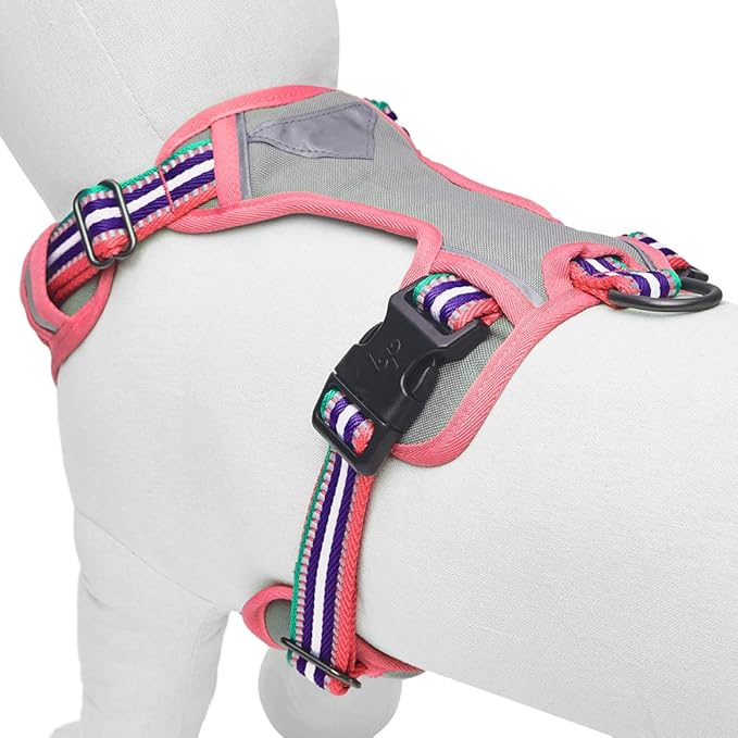 Blueberry Pet Soft 3M Reflective Dog Harness Vest | Mesh Padded No-Pull Harness with Back Clips | Multicolor Stripe in Pink, Emerald and Orchid| Adjustable for Small Dogs