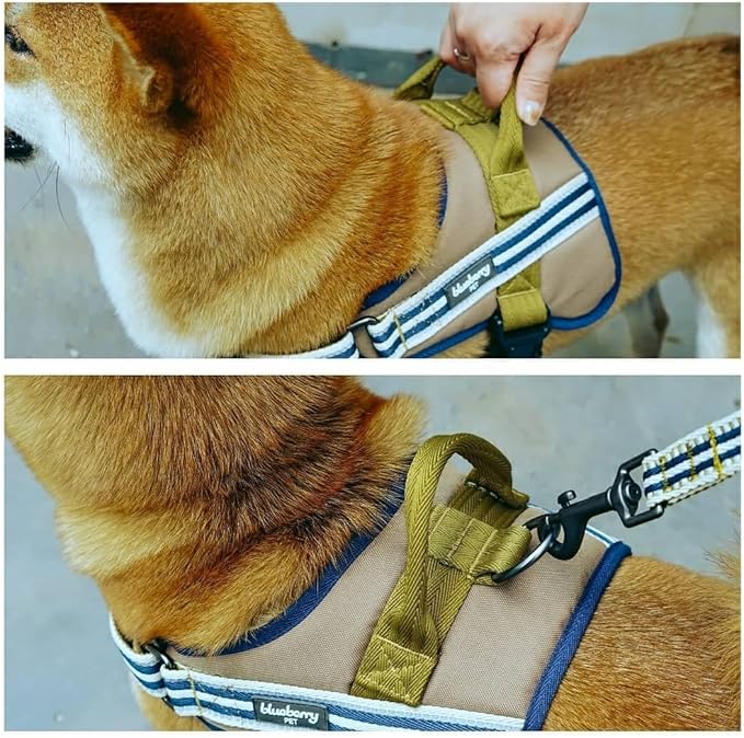 Blueberry Pet Soft 3M Reflective Dog Harness Vest | Mesh Padded No-Pull Harness with Back Clips | Multicolor Stripe in Olive and Blue-Gray| Adjustable for Medium Dogs
