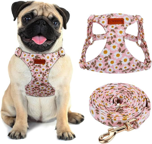 CHEDE No Pull Floral Pattern Dog Harness- Lightweight, Soft, Adjustable Small Harness and Leash Set, Suitable for Puppy Small and Medium-Sized Dog (M, Pink Daisy)