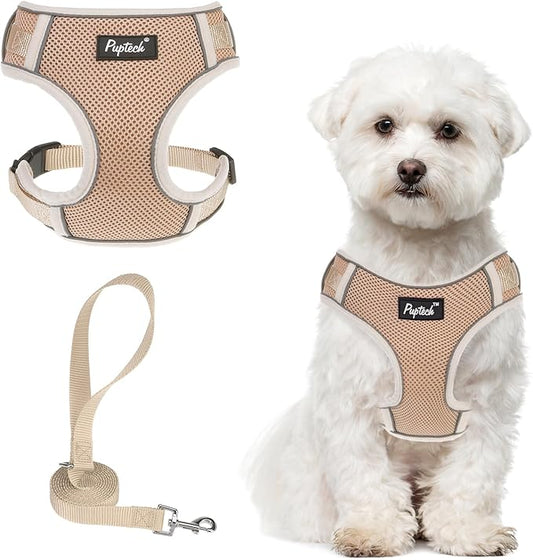 PUPTECK Small Dog Harness and Leash Set, No Pull Adjustable Puppy Cat Harness, Reflective Soft Mesh Pet Vest Small Sized