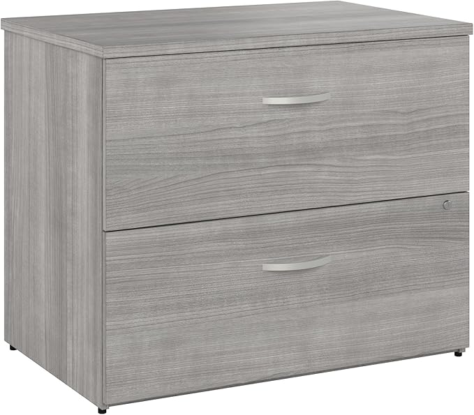 Bush Business Furniture Studio C 2 Drawer Lateral File Cabinet in Platinum Gray - Assembled, Locking Document Storage for Home or Professional Office