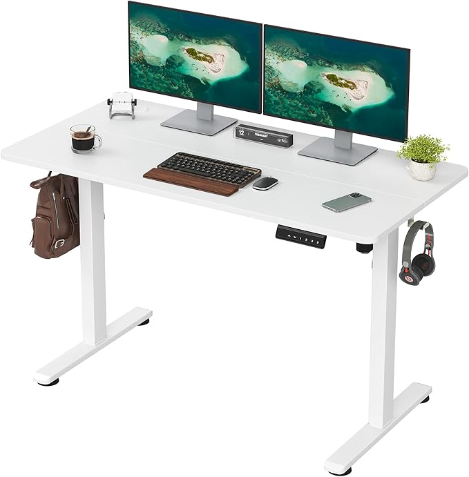 Casaphoria 48 x 24 inches Electric Standing Desk, Sit to Stand Desk with Memory Height Adjustment, Home Office Computer Desk for Writing and Games, White