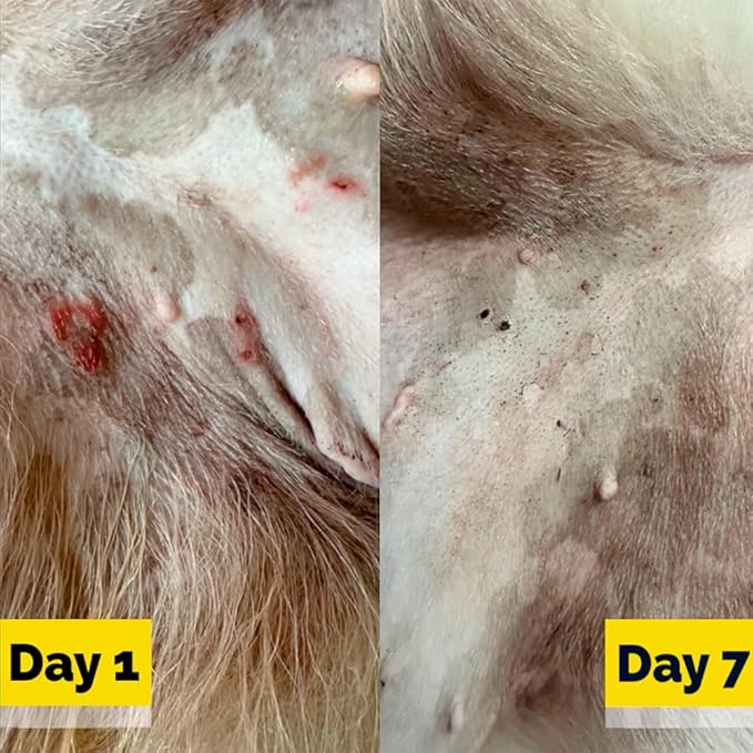 Dog Soother and Moisturizer Hotspot Cream - with Coconut Oil and Arnica for Irritated, Itchy, Dry Skin - Made in The US - Hot Spot Treatment for Dogs, Dog Cream for Irritated Skin