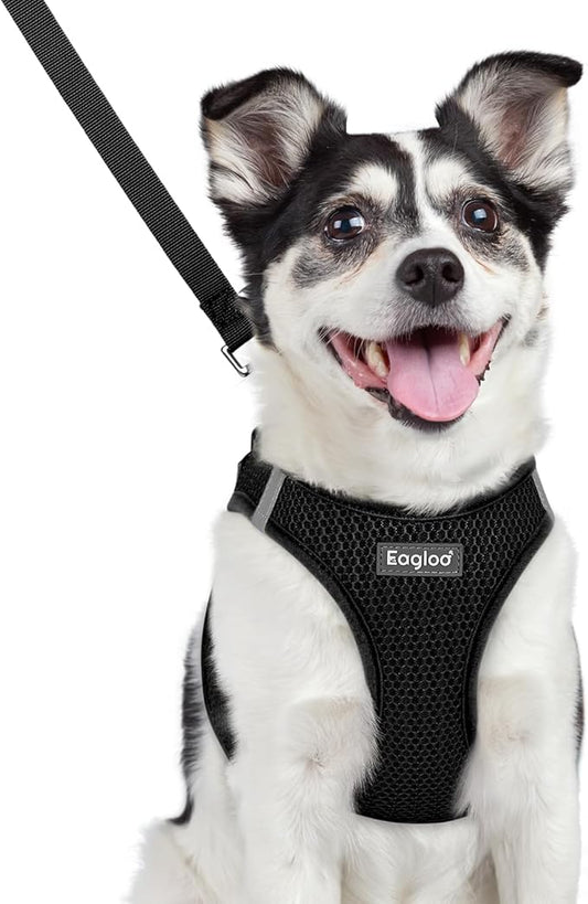 Eagloo Small Dog Harness and Leash Set, Step in Puppy Vest with Breathable Soft Mesh, Walking Reflective Pet Harness for Medium Small Dogs, Black, L