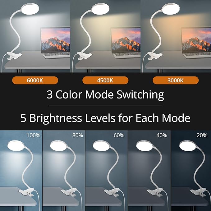 Reading Light with Remote, LED Desk Lamp Clip on [1H Timer & Nightlight] RA>95 Dimmable Flexible Gooseneck, Reading Lamp with Clamp for Table - 3.5'' (Adapter Included)
