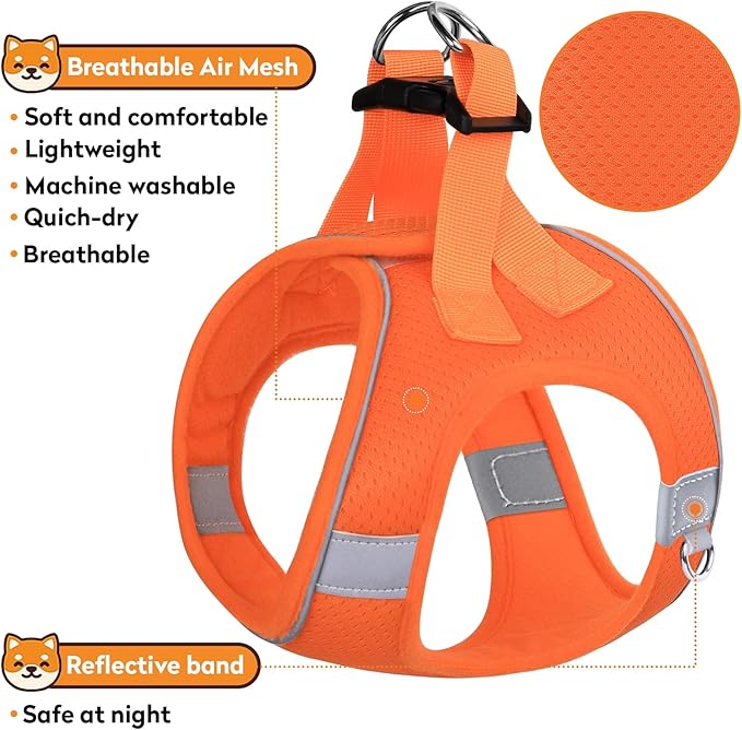 Dog Harness with Leash Set, No-Pull Step-in Reflective Pet Harness with 1 Leash Clips, Adjustable Soft Padded Easy Walk Dog Vest for Small Medium Large Dogs, Cats(Bright Orange, Large)