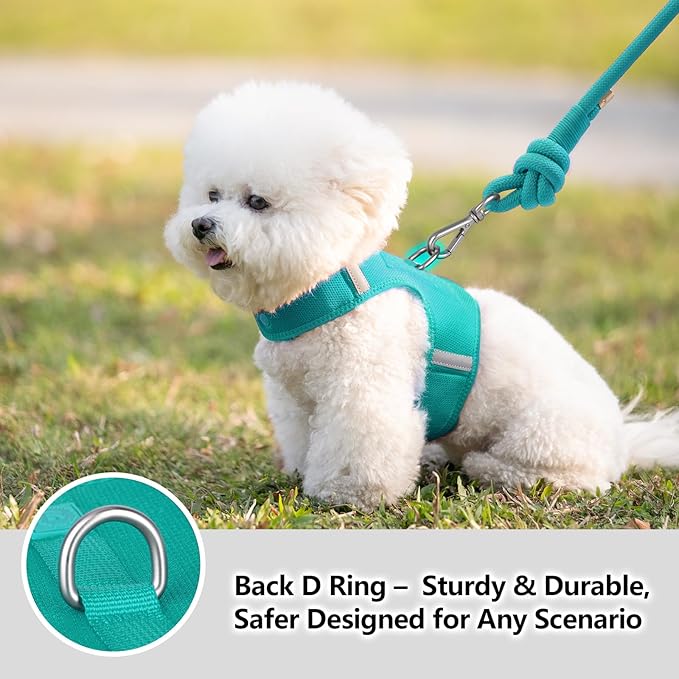 Dog Harness for Puppy – Adjustable Reflective Easy Put On Soft Mesh Vest for Small Dogs with 2 Patches (MARRS Green,S)