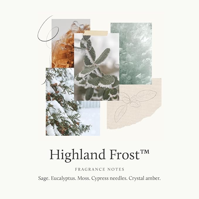 Thymes Scented Candles for Home Decor - Luxury Home Fragrance Gifts for Women & Men - Winter Candles with Crisp Notes of Sage, Eucalyptus, & Cypress Needles - Sage-Green (Highland Frost, 13 oz)