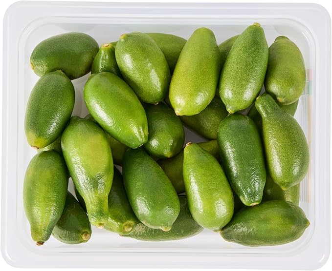 Restaurantware Food Pans Pack of 10 Plastic Rectangle Food Containers Half Size with Traceability Label, Storage Containers Dishwashable Hot Cold Friendly for Restaurants Buffet Commercial Use