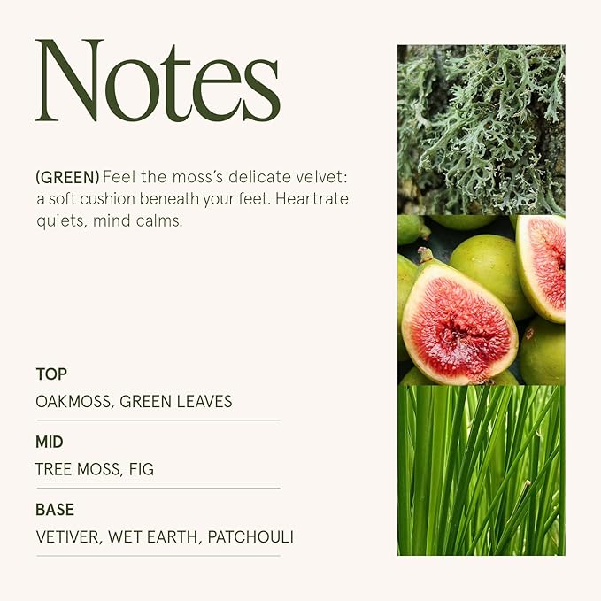 LA JOLIE MUSE Kyoto Vine & Moss Candle - Green Leaves, Tree Moss, Vetiver | 6 oz Natural Soy Wax | 40 Hours Clean Burn | Fresh Scented Candle | Gift-Ready for Hosts & Gatherings