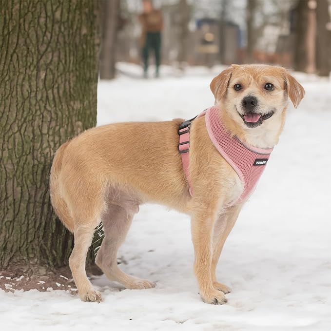 Best Pet Supplies Voyager Aerolite No Pull Mesh Dog Harness, Reflective Stitching, Breathable Harness, Adjustable for Walking, Training, Running, Heavy Duty and Durable, Baby Pink, M