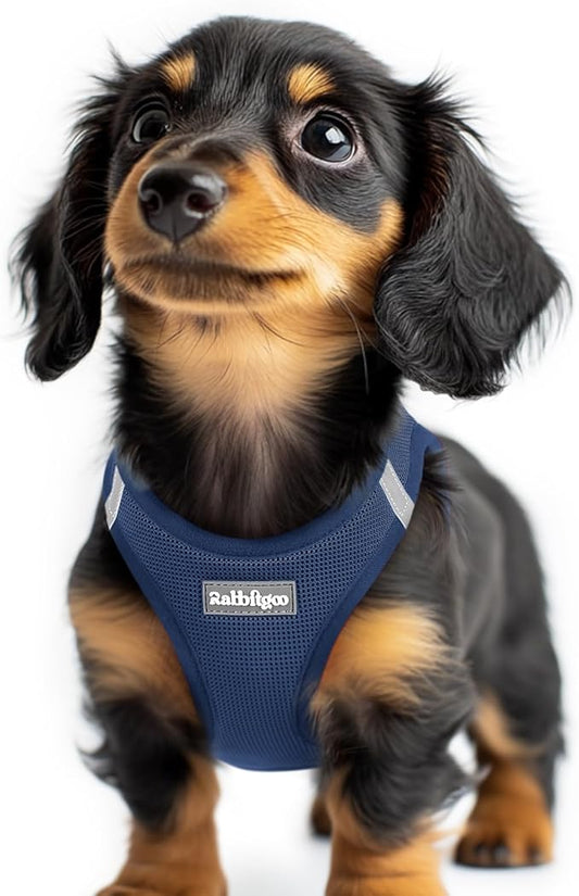 rabbitgoo Small Dog Harness, Step-in Soft Mesh Puppy Vest with Safety Buckle, Breathable Reflective Pet Harness for Extra Small Dogs, Navy Blue XXS